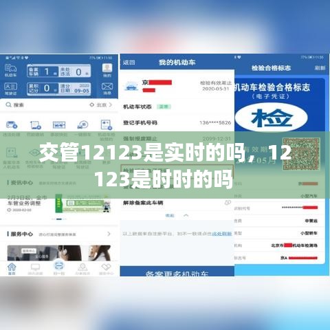 交管12123是实时的吗，12123是时时的吗 