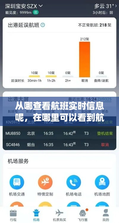 从哪查看航班实时信息呢，在哪里可以看到航班实时信息 