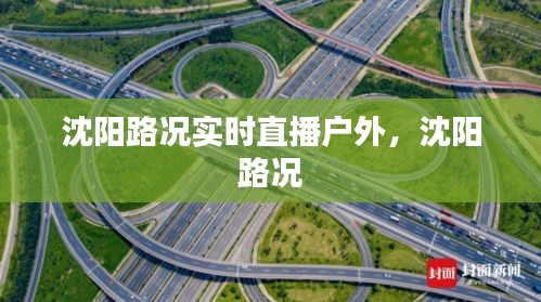 沈阳路况实时直播户外，沈阳 路况 