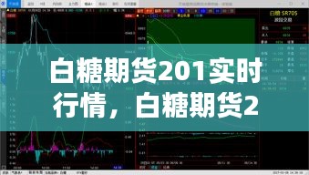 白糖期货201实时行情，白糖期货201实时行情走势 