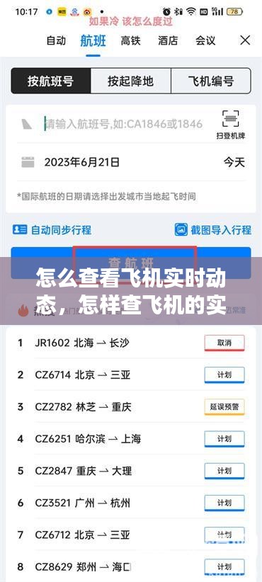 怎么查看飞机实时动态，怎样查飞机的实时动态 