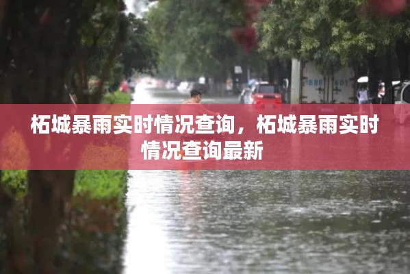 柘城暴雨实时情况查询，柘城暴雨实时情况查询最新 