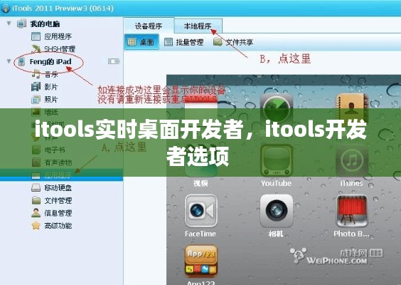 itools实时桌面开发者，itools开发者选项 