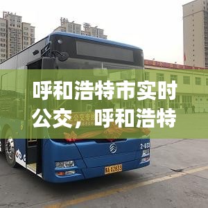 呼和浩特市实时公交，呼和浩特市实时公交查询app 