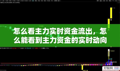 怎么看主力实时资金流出，怎么能看到主力资金的实时动向 