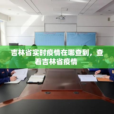 吉林省实时疫情在哪查到，查看吉林省疫情 