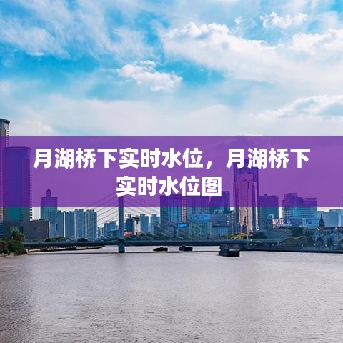 月湖桥下实时水位，月湖桥下实时水位图 