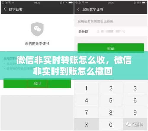 微信非实时转账怎么收，微信非实时到账怎么撤回 