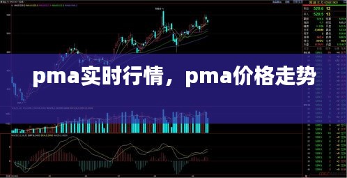 pma实时行情，pma价格走势 