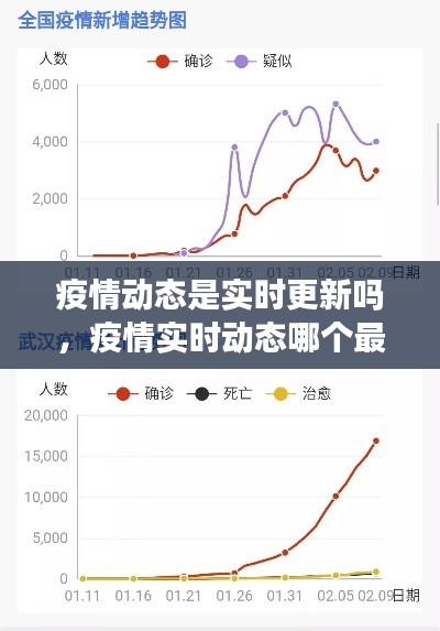 疫情动态是实时更新吗，疫情实时动态哪个最准 