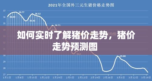 如何实时了解猪价走势，猪价走势预测图 