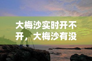 大梅沙实时开不开，大梅沙有没有开 