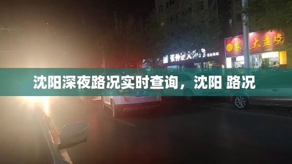 沈阳深夜路况实时查询，沈阳 路况 