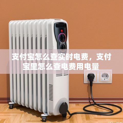 支付宝怎么查实时电费，支付宝里怎么查电费用电量 