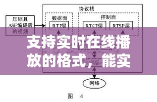 支持实时在线播放的格式，能实现在线点播的视频文件格式是 