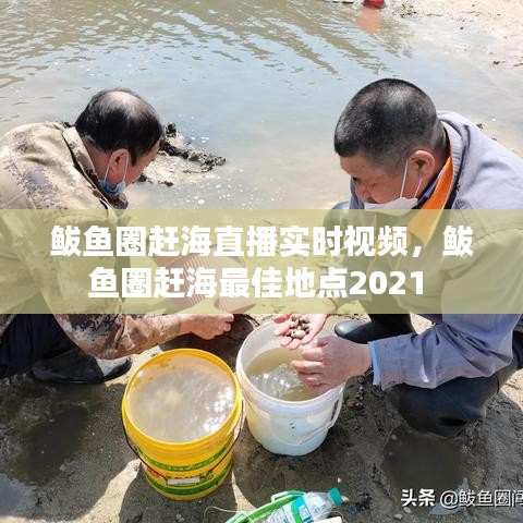 鲅鱼圈赶海直播实时视频，鲅鱼圈赶海最佳地点2021 