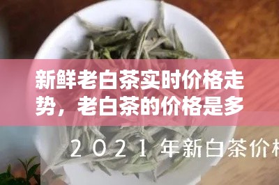 新鲜老白茶实时价格走势，老白茶的价格是多少钱一斤 