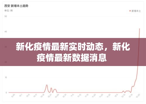 新化疫情最新实时动态，新化疫情最新数据消息 