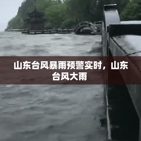 山东台风暴雨预警实时，山东台风大雨 