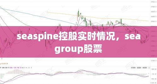 seaspine控股实时情况，sea group股票 