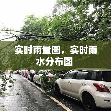 实时雨量图，实时雨水分布图 