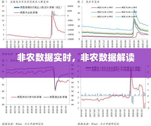 非农数据实时，非农数据解读 