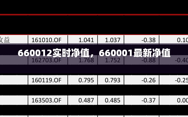 660012实时净值，660001最新净值 