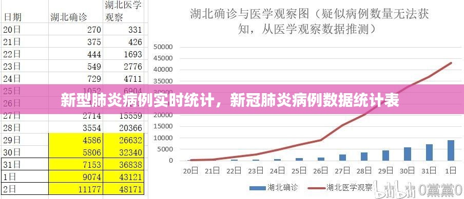 新型肺炎病例实时统计，新冠肺炎病例数据统计表 