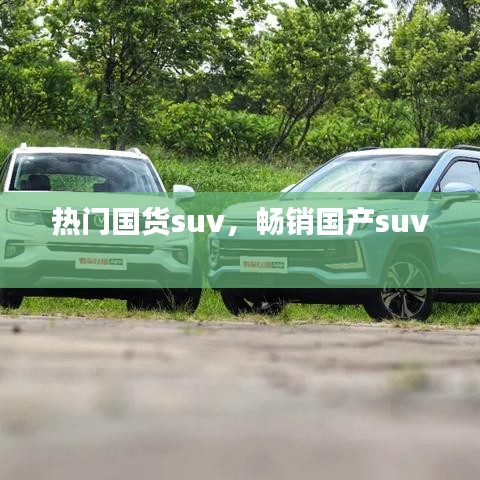 热门国货suv，畅销国产suv 