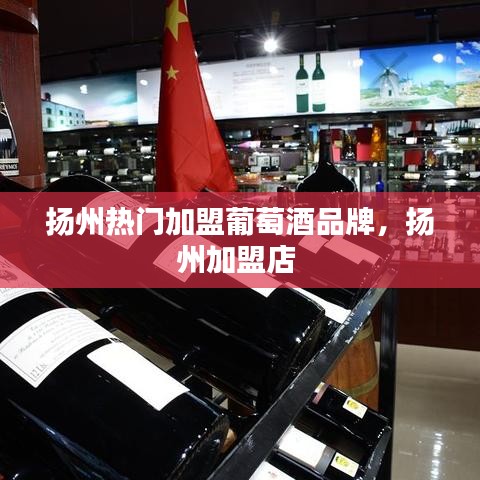 扬州热门加盟葡萄酒品牌，扬州加盟店 