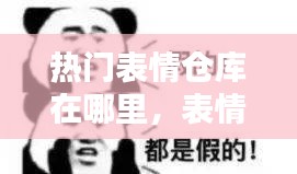 热门表情仓库在哪里，表情包投放平台有哪些 