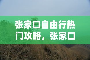 张家口自由行热门攻略，张家口市内游玩儿攻略 