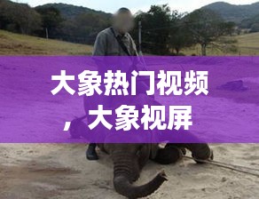 大象热门视频，大象视屏 