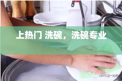 上热门 洗碗，洗碗专业 