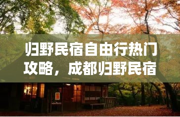 归野民宿自由行热门攻略，成都归野民宿在哪 