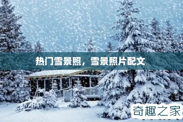 热门雪景照，雪景照片配文 