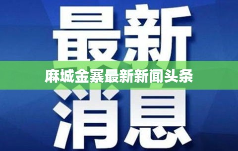 麻城金寨最新新闻头条