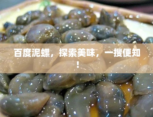 百度泥螺，探索美味，一搜便知！