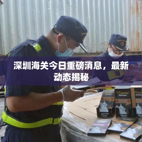 深圳海关今日重磅消息，最新动态揭秘