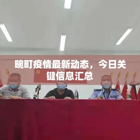 畹町疫情最新动态，今日关键信息汇总