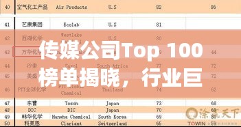 传媒公司Top 100榜单揭晓，行业巨头一览，未来趋势展望