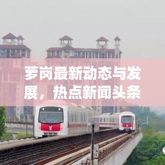 萝岗最新动态与发展，热点新闻头条聚焦