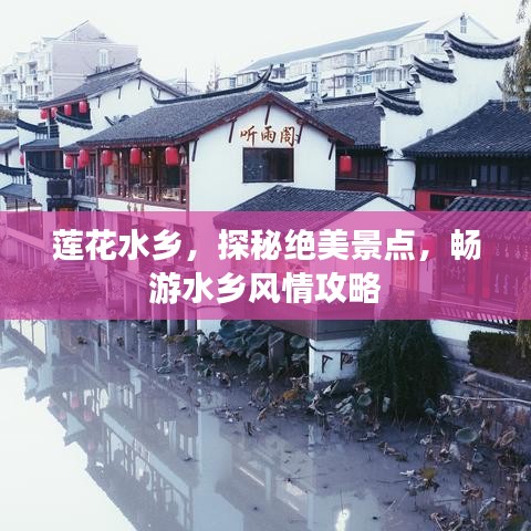 莲花水乡，探秘绝美景点，畅游水乡风情攻略