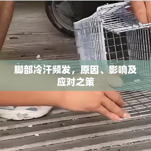 脚部冷汗频发，原因、影响及应对之策
