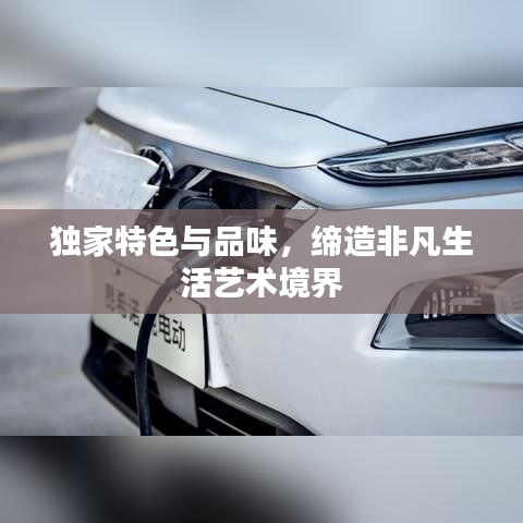 独家特色与品味，缔造非凡生活艺术境界