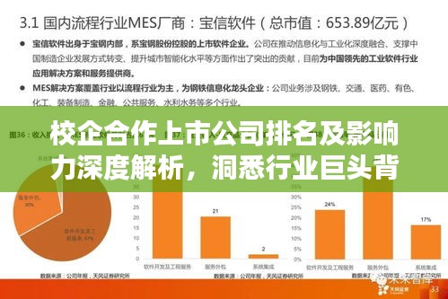 校企合作上市公司排名及影响力深度解析，洞悉行业巨头背后的合作力量