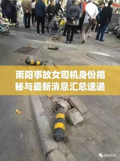 南阳事故女司机身份揭秘与最新消息汇总速递