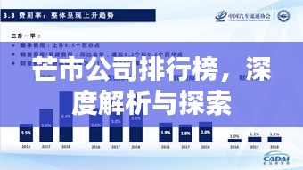 芒市公司排行榜，深度解析与探索