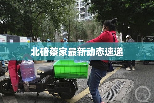 北碚蔡家最新动态速递