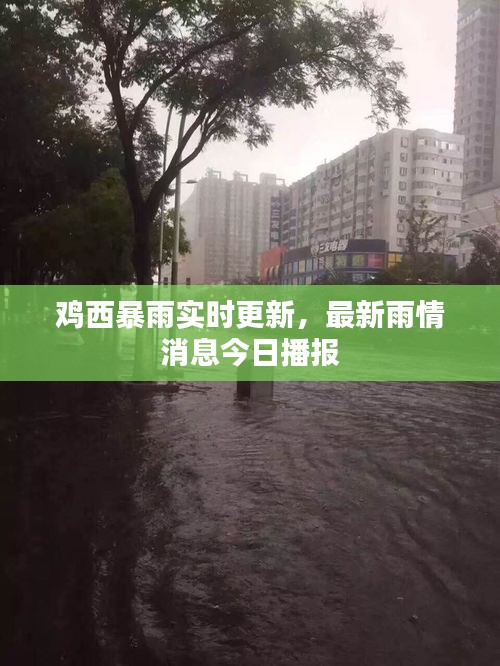 鸡西暴雨实时更新，最新雨情消息今日播报
